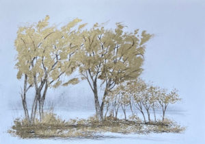 Werk von Diego Smaniotto 2026 in der Galerie Artesol, Solothurn.